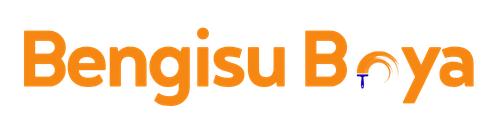 Bengisu Boya